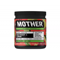 Pote Pré-Treino Natural Booster Lemon - 175g Pote Pré-Treino Natural Booster Lemon - 175g