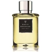 Perfume David Beckham Instinct EDT Masculino 75ml Perfume David Beckham Instinct EDT Masculino 75ml