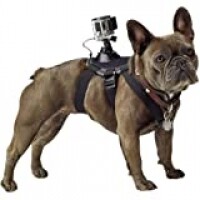 Cinturão Canino para GoPro e Câmeras de Ação Vivitar Acessórios para Câmeras Digitais Cinturão Canino para GoPro e Câmeras de Ação Vivitar Acessórios para Câmeras Digitais