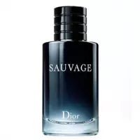 Perfume Dior Sauvage Masculino EDT - 100ml Perfume Dior Sauvage Masculino EDT - 100ml