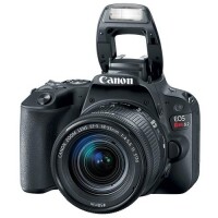 Câmera Digital Canon EOS Rebel SL2 DSLR 24.2 MP Full HD Wi-Fi Bluetooth Câmera Digital Canon EOS Rebel SL2 DSLR 24.2 MP Full HD Wi-Fi Bluetooth