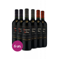 Vinho WineBox Família Casillero del Diablo Vinho WineBox Família Casillero del Diablo