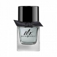 Perfume MR Burberry Masculino Eau de Toilette 30ml Perfume MR Burberry Masculino Eau de Toilette 30ml