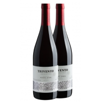 Duo Trivento Réserve Pinot Noir 2018 Duo Trivento Réserve Pinot Noir 2018