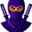 Autor Ninja 