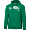 Imagem da oferta Moletom Palmeiras Hoody 21/22 - Puma