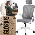 Imagem da oferta Cadeira De Escritorio Ergonomica Nr17 Glorious Marqs Home Giratoria Resistente Reforçada 180kg Confortavel Reuniao Mesh Cinza
