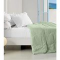 Imagem da oferta Edredom Altenburg Verano Casal Diseño Lisa Color Verde De 2.1m X 2.4m
