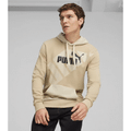 Imagem da oferta Moletom com Capuz PUMA POWER Graphic Masculino