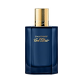 Imagem da oferta Perfume DAV CL ELIXIR M EDP 100ml AQUAELIXIR IV