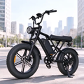 Imagem da oferta Bicicleta Elétrica Hdj G60 1000w 48v 20ah Aro 20 Até 50km