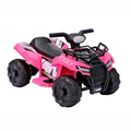 Imagem da oferta Bang Toys - Quadriciclo Elétrico Infantil Astro 6v - Com Luzes De Led, Sons, Entrada Usbmp3, Acelerador No Pedal - Suporta Até 30kg - Cor Rosa