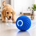 Bolinha Pet Interativa Recarregável USB para Gatos e Cães | Brinquedo Automático com Movimento Inteligente | Bola Ant