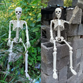 Imagem da oferta Esqueleto posável de ossos em forma humana 40cm adereços de terror para casa assombrada esqueleto de caveira