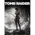 Imagem da oferta Jogo Tomb Raider: GOTY - PC