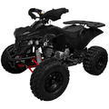 Imagem da oferta Quadriciclo Atv 125cc Gasolina P Elétrica com Ré 0 km Freio a Disco 4t - Tatv125