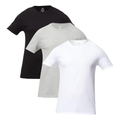 Imagem da oferta Kit Com 3 Camisetas Masc Básicas Slim Gola Redonda Hering