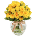 Imagem da oferta Brisa de Rosas Yellow