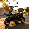 Imagem da oferta Triciclo Elétrico 3 Lugares WeHawk Multi 3 WX-T03 | Motor 800W | Bateria Chumbo 48V 20Ah
