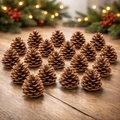 Imagem da oferta Kit 20 Pinha Decoração Enfeite Natal Artesanato Natural Aves Mini Rustica