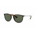 Imagem da oferta Óculos de Sol Ray-Ban RB4171L Erika