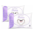 Imagem da oferta Kit 02 Travesseiro Antialérgico Pluma De Ganso 70cm X 50cm