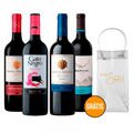 Imagem da oferta Kit Degustação 4 Vinhos Sulamericanos 750ml