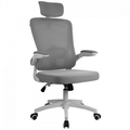 Imagem da oferta Cadeira De Escritório Dr. Office Handy Ajustável Ergonômica Mesh Cinza DR-CH-HDN1DWG