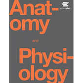 Imagem da oferta eBook Anatomy and Physiology (Inglês) - Vários Autores