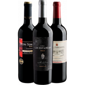 Imagem da oferta Kit 3 Unidades de Vinhos 1  Don Simon Selección Tempranillo + Paul Fargadel Rouge + Finca Las Estancas Roble Malbec 2021 750ml Cada