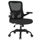 Imagem da oferta Cadeira de Escritório FlexiSpot OCB1-Lite, Ajustável, 3D, Mesh, Preta