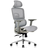 Imagem da oferta Cadeira Dr. Office Business Pro Cinza Mesh 3D