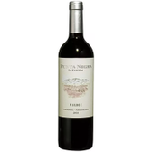 Imagem da oferta Vinho Malbec Punta Negra La Parcela 750ml
