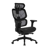 Imagem da oferta Cadeira Ergonômica Elements Siggy Preto