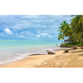 Imagem da oferta Pacote de viagem para São Miguel dos Milagres - Passagem Aérea + Transfer + Hospedagem 3 Noites