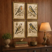 Imagem da oferta Quadro Pássaros Vintage Botânico Aves Moldura Clássica Vidro