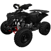 Imagem da oferta Quadriciclo Atv 125cc Gasolina P Elétrica com Ré 0 km Freio a Disco 4t - Tatv125
