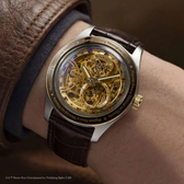 Imagem da oferta Relógio Timex Harry Potter Waterbury Skeleton Automatic TW2Y75500