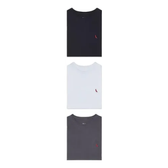 Imagem da oferta Kit 3 Camisetas Básicas Brasa Pica Pau Bordado Reserva