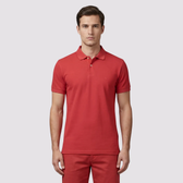 Imagem da oferta Polo Aramis Basica Piquet Log Vermelho