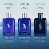 Imagem da oferta Ralph Lauren Polo Blue EDT Perfume Masculino 125 ml