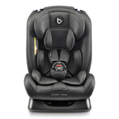 Imagem da oferta Cadeira Para Auto 0-36 Kg Mass Litet