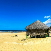 Imagem da oferta Voos para Fortaleza – Passagem Apenas Ida