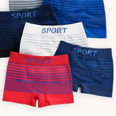 Imagem da oferta Kit 5 Cueca Boxer Masculina Microfibra Cueca Box De Adulto