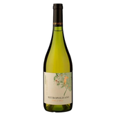 Imagem da oferta Vinho Branco Chileno Chardonnay Valle Central