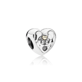 Imagem da oferta Charm Coração De Família - 791771