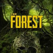 Jogo The Forest - PC Steam
