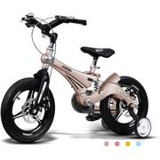 Bicicleta Baby Trike Evolution - Biemme