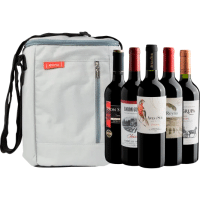 Imagem da oferta Kit 5 Vinhos + Bolsa Térmica Exclusiva para 5 garrafas