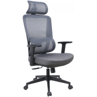 Imagem da oferta Cadeira de Escritório Dr. Office Work Pro Ajustável Mesh 2D Reclinável - DR-CH-WKPR2DG